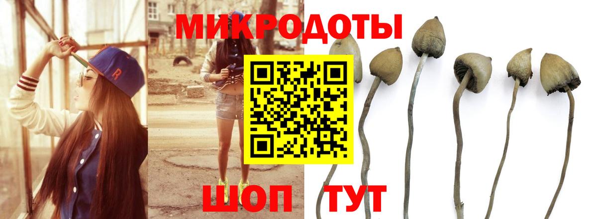 Псилоцибиновые грибы Magic Shrooms  Вход с VPN  Миасс 